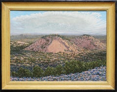 Daniel Kendrick Texas Oil Painting “Turkey’s Peak”