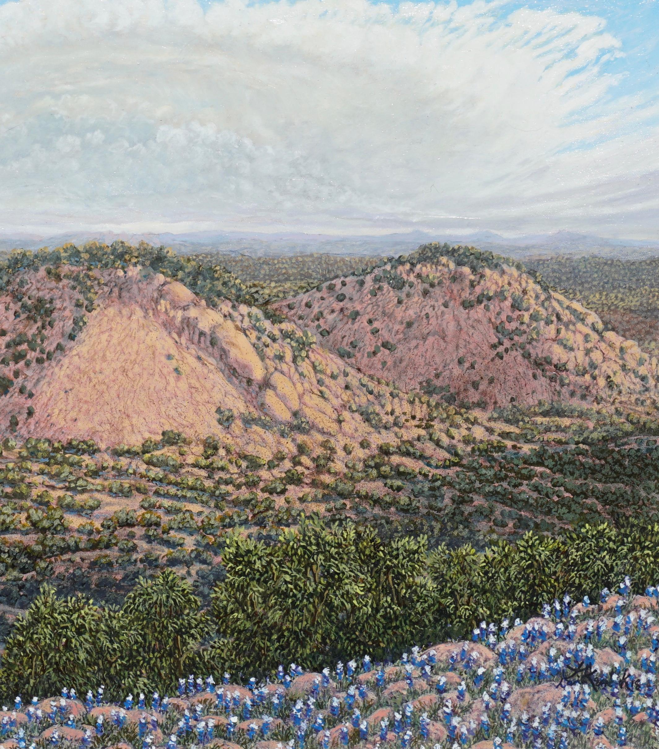 American Daniel Kendrick Texas Oil Painting “Turkey’s Peak”