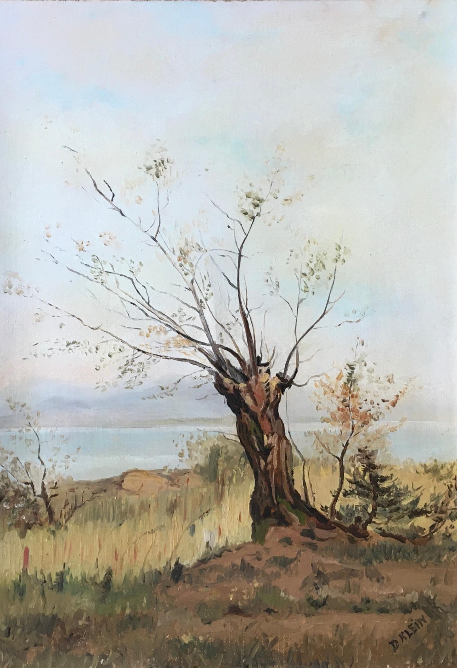 Landscape Painting Daniel Klein - Arbre en automne avec vue sur le lac