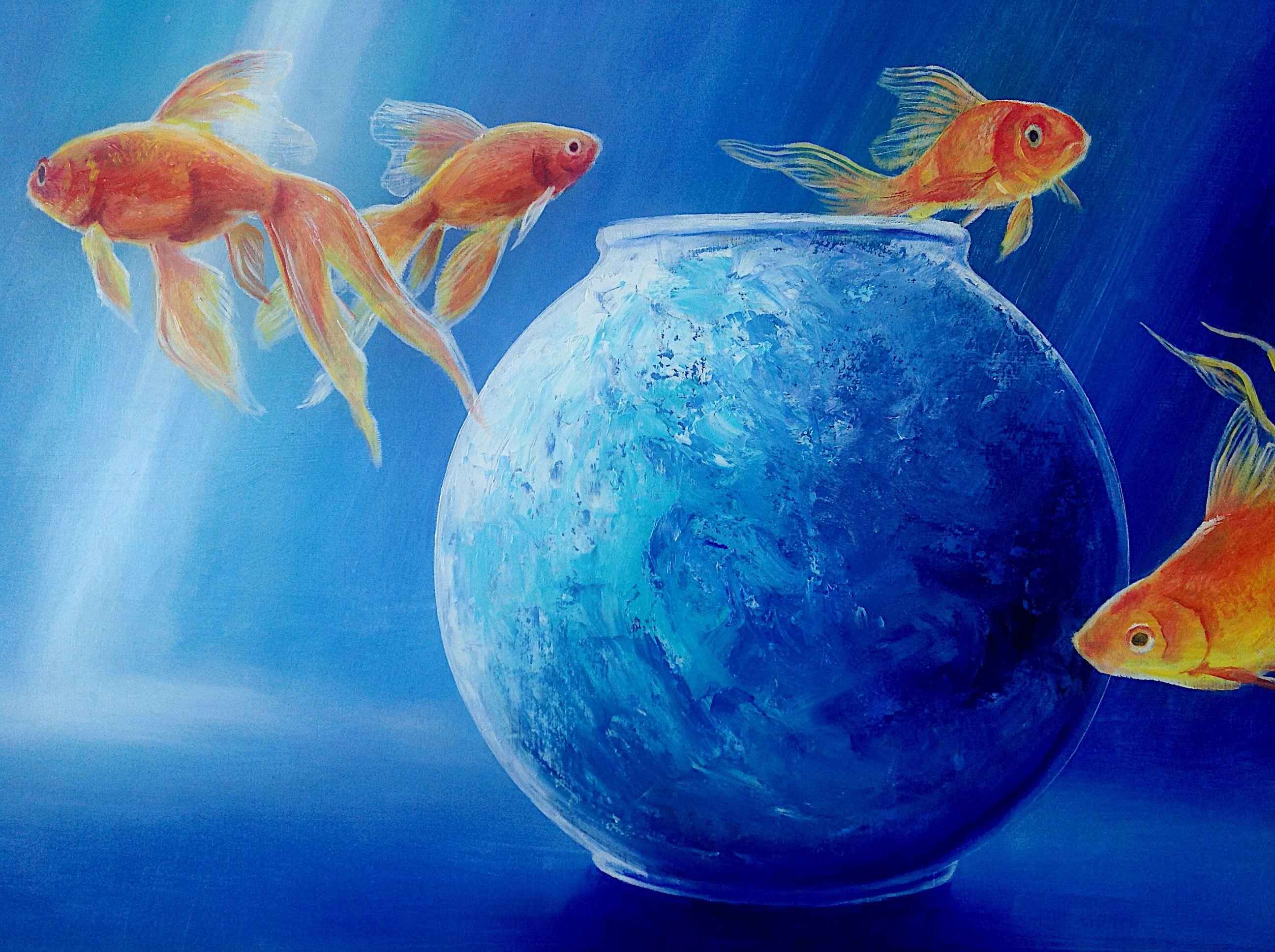 Goldfish XLIII, Painting, Oil on MDF Panel For Sale 1