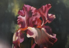 Magenta Iris, fotorealistisches Gemälde in Öl auf Leinwand von Daniel Maffia