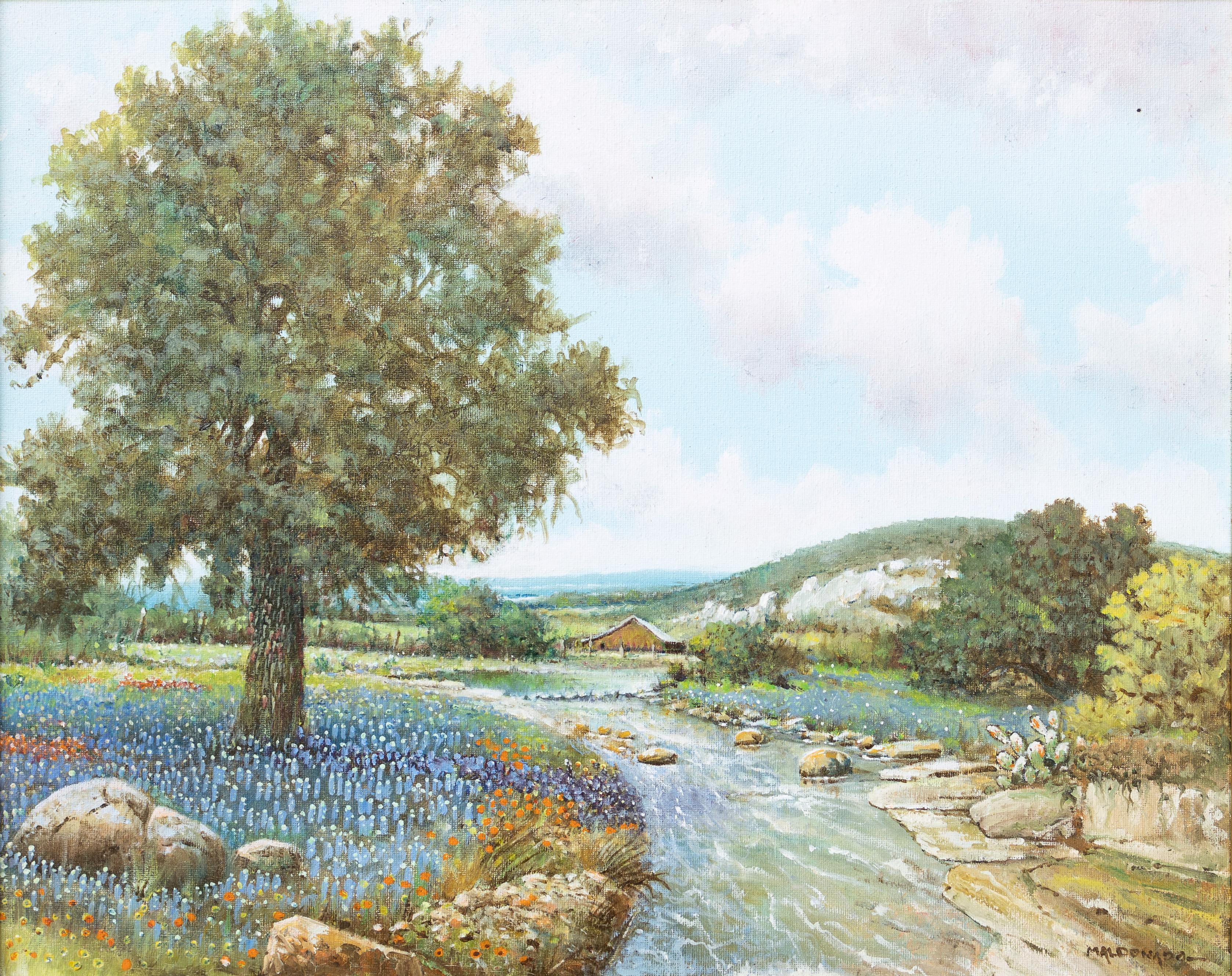 Daniel Maldonado Landscape Painting - Springtime in the Texas Hill Country with Bluebonnets