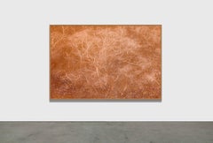 PAESAGGIO ANCESTRALE 2 - Foresta pluviale, Brasile di Daniel Mansur