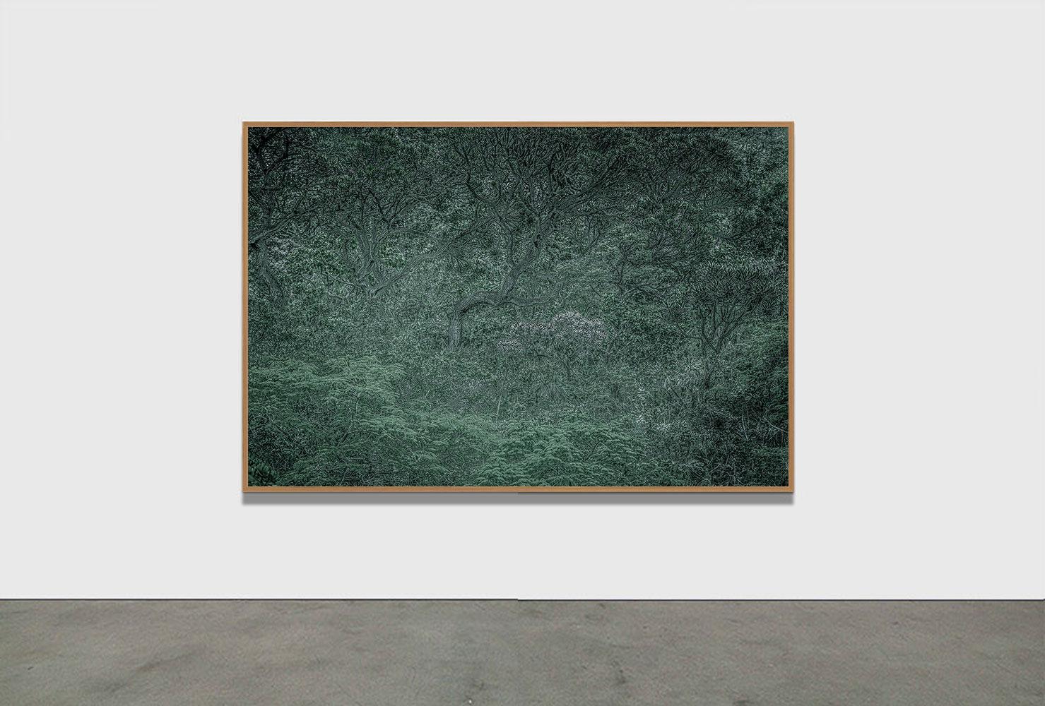 PAYSAGE ANCESTRAL 5 - Forêt tropicale, Brésil par Daniel Mansur en vente 1