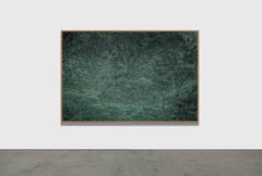 ANCESTRAL LANDSCAPE 5 - Rainforest, Brazil by Daniel Mansur