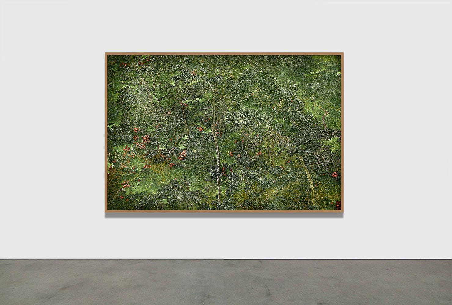 PAYSAGE ANCESTRAL 6 - Forêt tropicale, Brésil par Daniel Mansur en vente 1