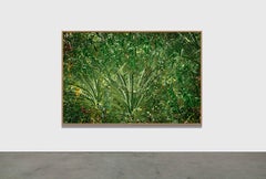 ANCESTRAL LANDSCAPE 7 - Rainforest, Brazil by Daniel Mansur