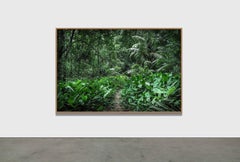 IN PARADISO 1 - Foresta pluviale, Brasile di Daniel Mansur