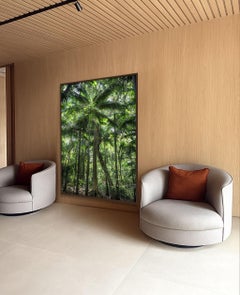 In Paradisum #11 - Rainforest, Brazil - Landscape Photography Tree