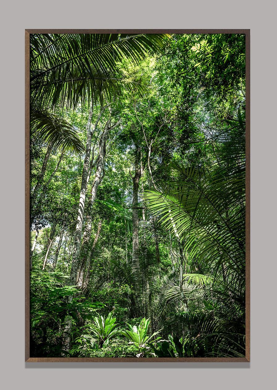 Daniel Mansur
In Paradisum #12, 2018
Rainforest, Brazil - Landscape Photography

60 x 40 inches 
100 x 150cm

71 x 47 inches 
180 x 120cm

88.5 x 60 inches
225 x 150 cm

Edition of 6 copies overall

Archival Pigment Print

Signature Label. Signed,