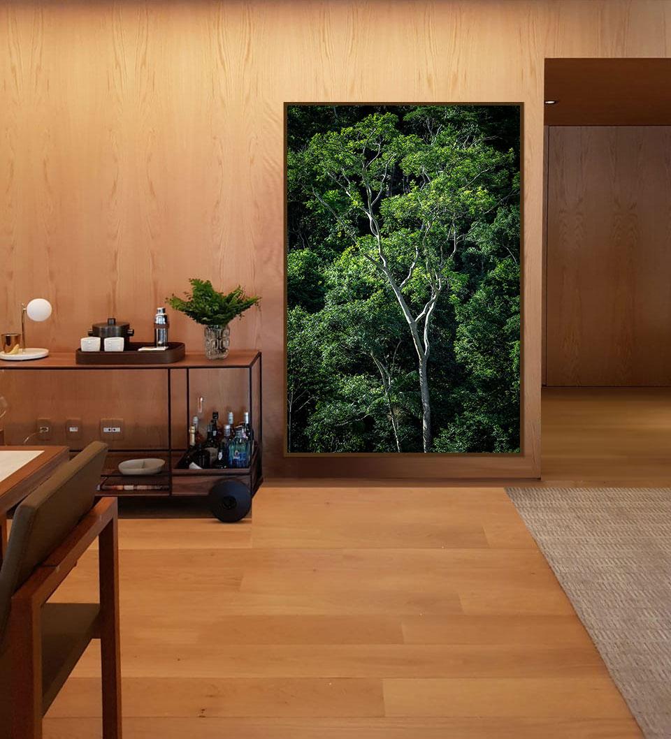 In Paradisum #13 - Rainforest, Brasilien - Landschaftsfotografie – Photograph von Daniel Mansur