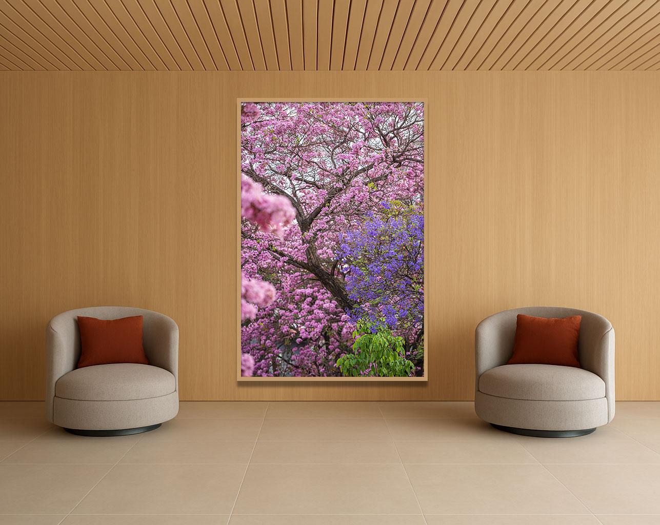 Spring - Photograph by Daniel Mansur