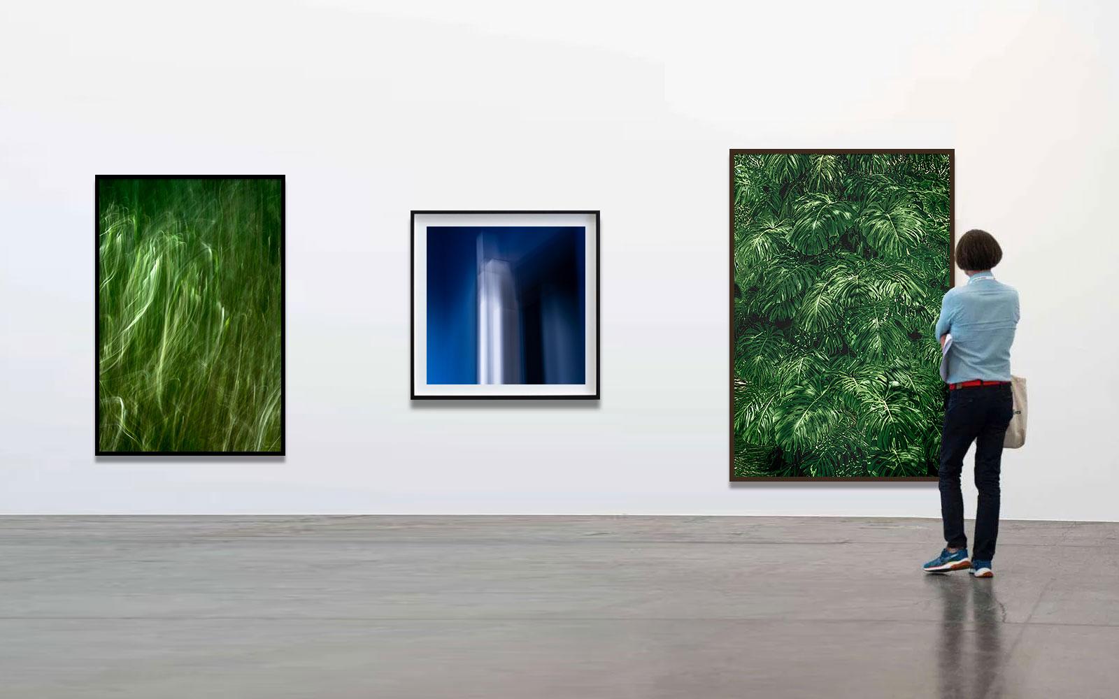 Vert 12 - Forêt tropicale - Photographie de paysage en vente 1