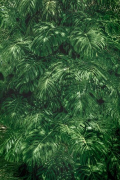 Color Photography