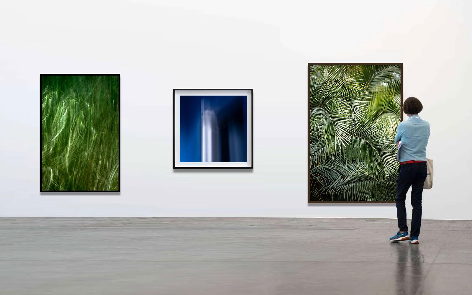 Vert 19 - Forêt tropicale - Photographie de paysage - Noir Color Photograph par Daniel Mansur
