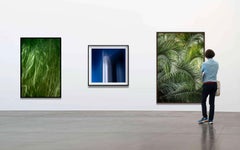 Vert 19 - Forêt tropicale - Photographie de paysage