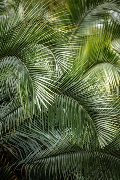 Landscape Photography