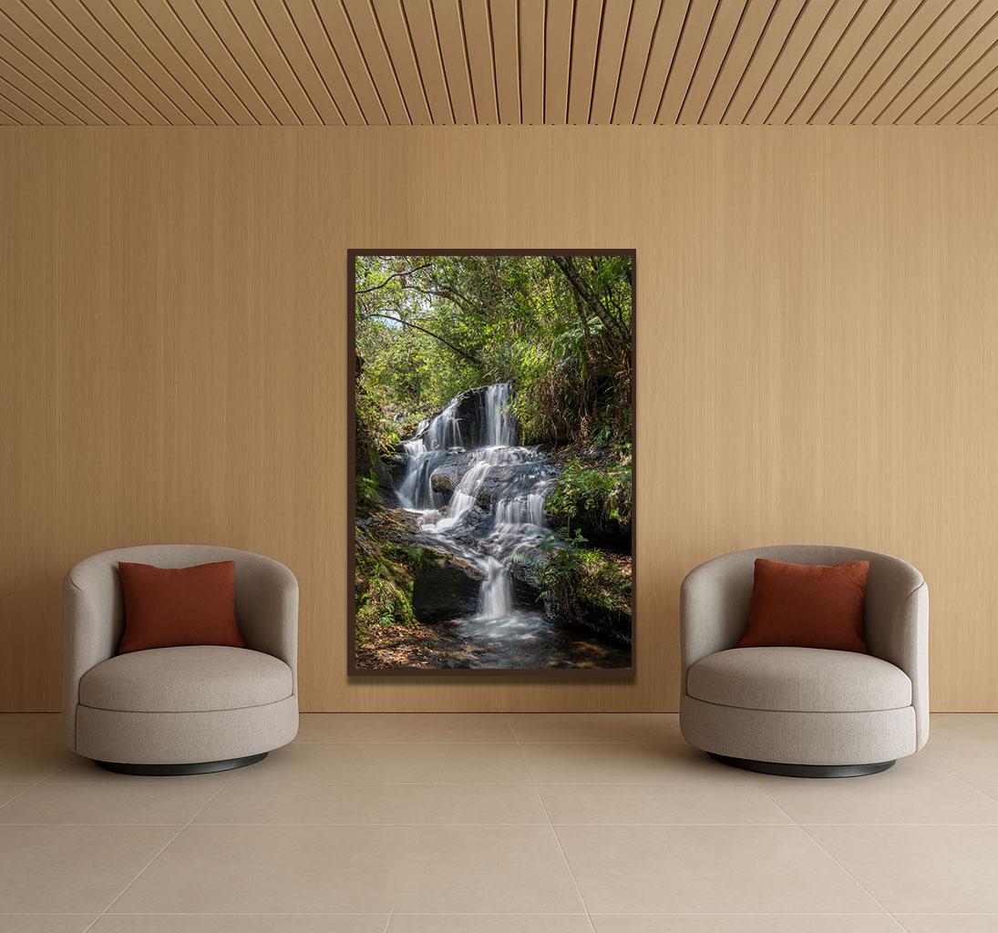 Vert 20 - Forêt tropicale - Photographie de paysage - Noir Color Photograph par Daniel Mansur
