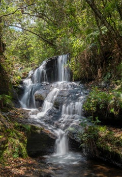 Landscape Photography