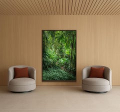 Vert 7 - Rainforest - Landscape Photography