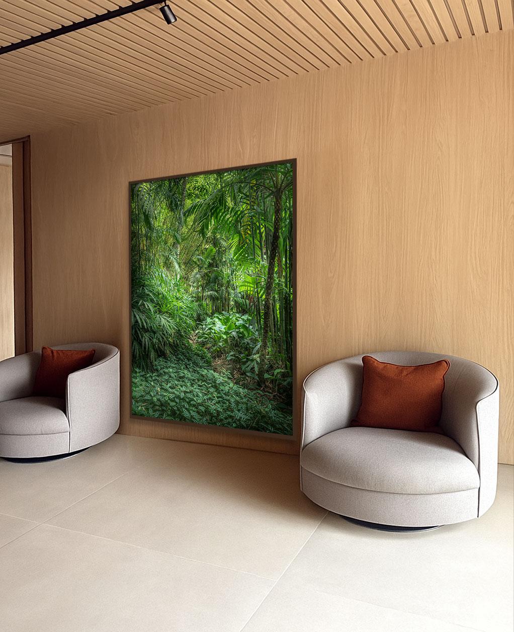 Vert 7 - Forêt tropicale - Photographie de paysage en vente 1