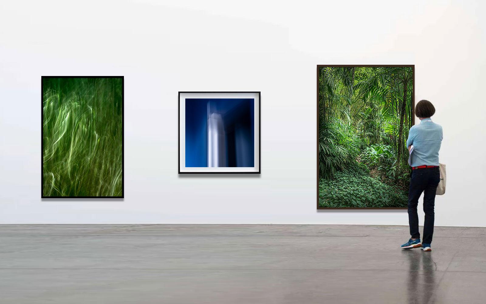 Vert 7 - Forêt tropicale - Photographie de paysage en vente 2