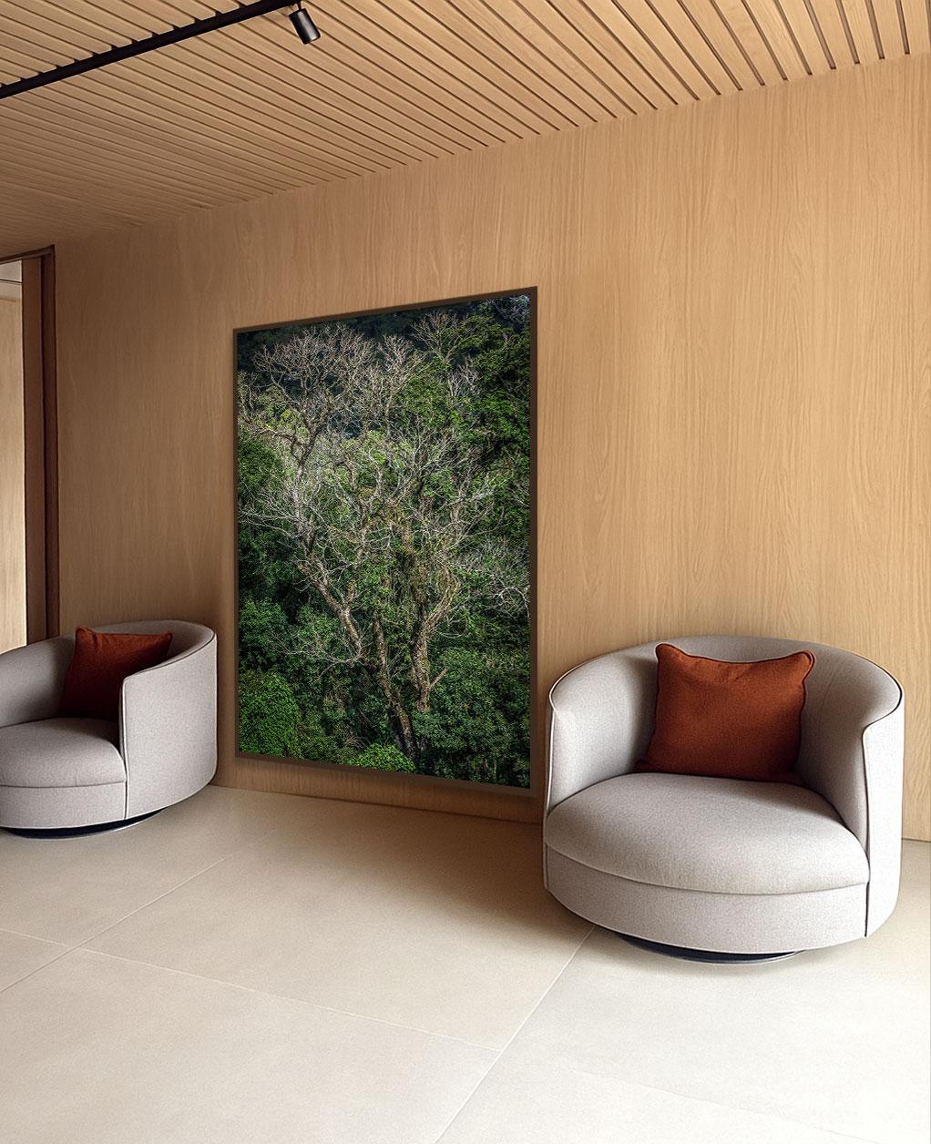 Daniel Mansur

Tailles disponibles :

60 x 40 pouces 
100 x 150cm

71 x 47 pouces 
180 x 120cm

88,5 x 60 pouces
225 x 150 cm

Édition de 6 exemplaires au total - Impression pigmentaire d'archives

Label de signature. Signé, titré, numéroté et daté