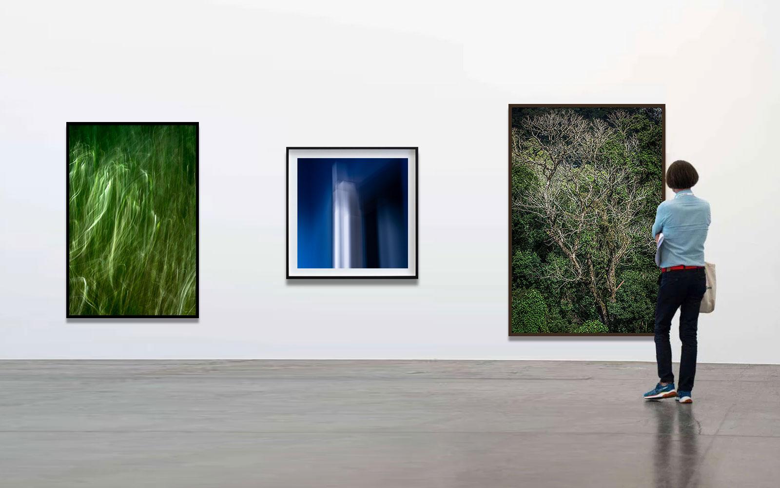 Vert - Forêt tropicale - Photographie de paysage en vente 1