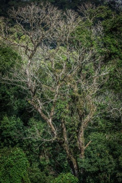 Landscape Photography