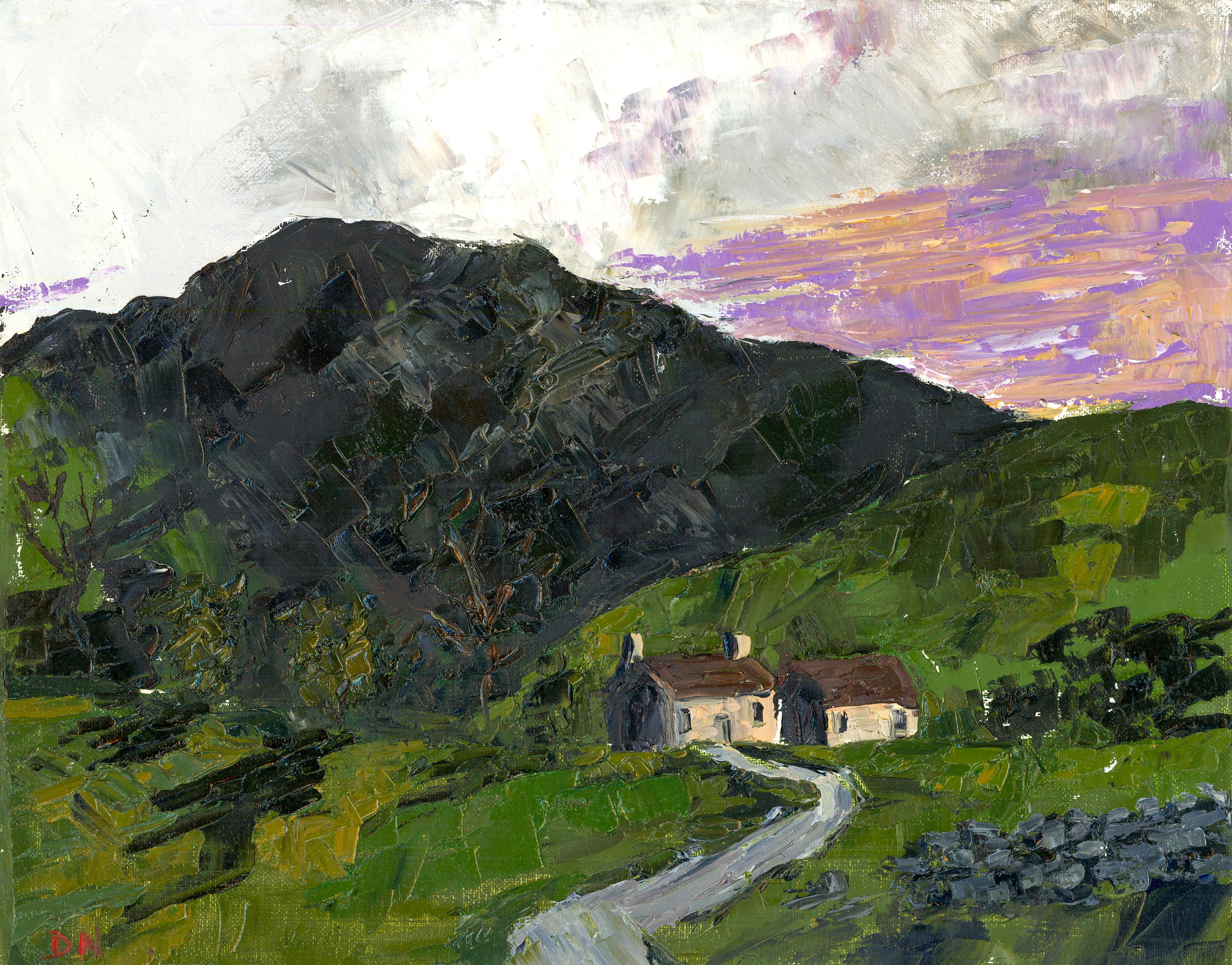Un suggestivo dipinto a impasto dell'artista contemporaneo Daniel Nichols, che raffigura un cottage del distretto lacustre nel passo di Gray Crag. Firmato con iniziali in basso a sinistra. Su tela su barelle. 

