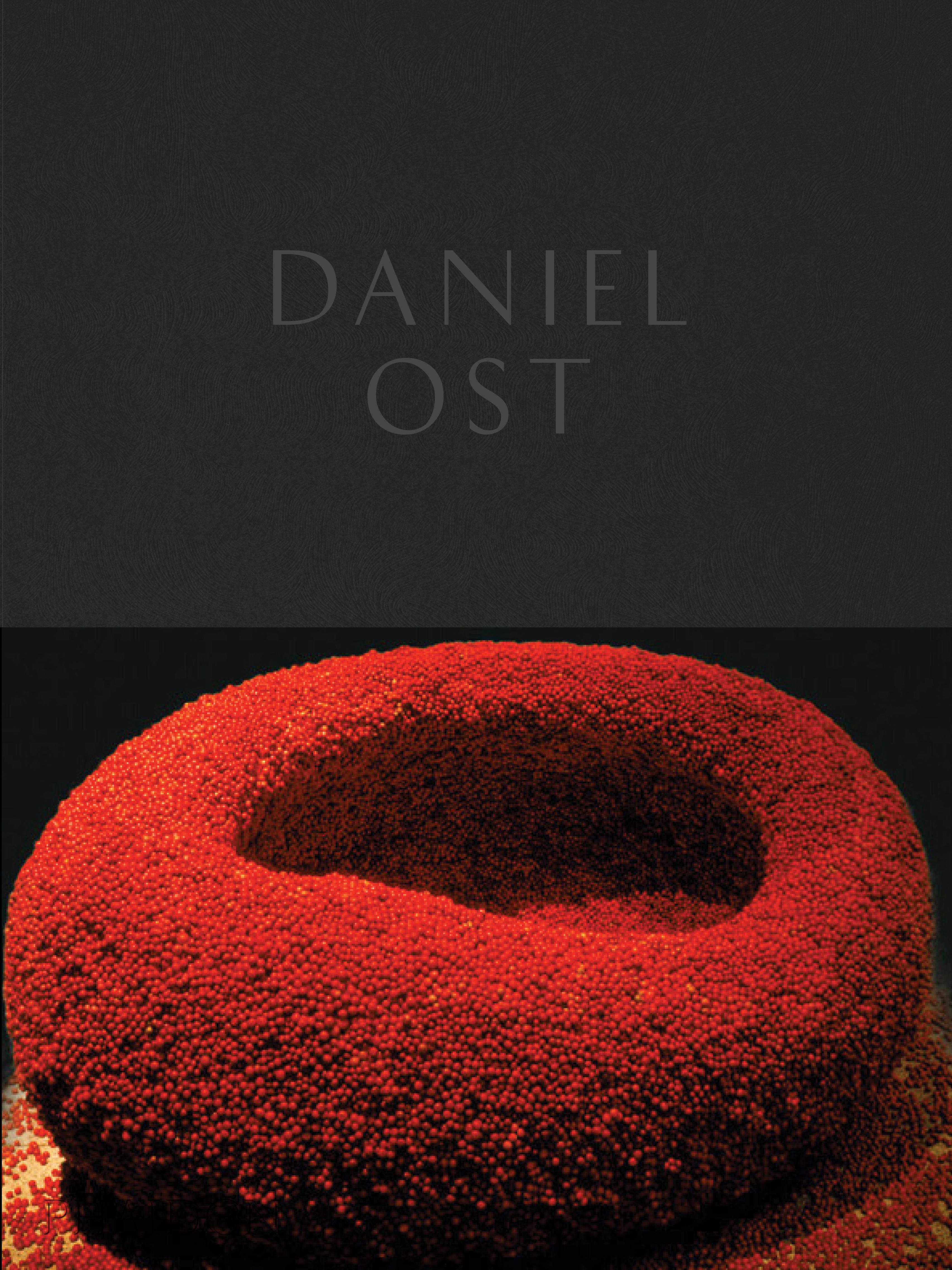 Daniel Ost Book In New Condition For Sale In New York City, NY