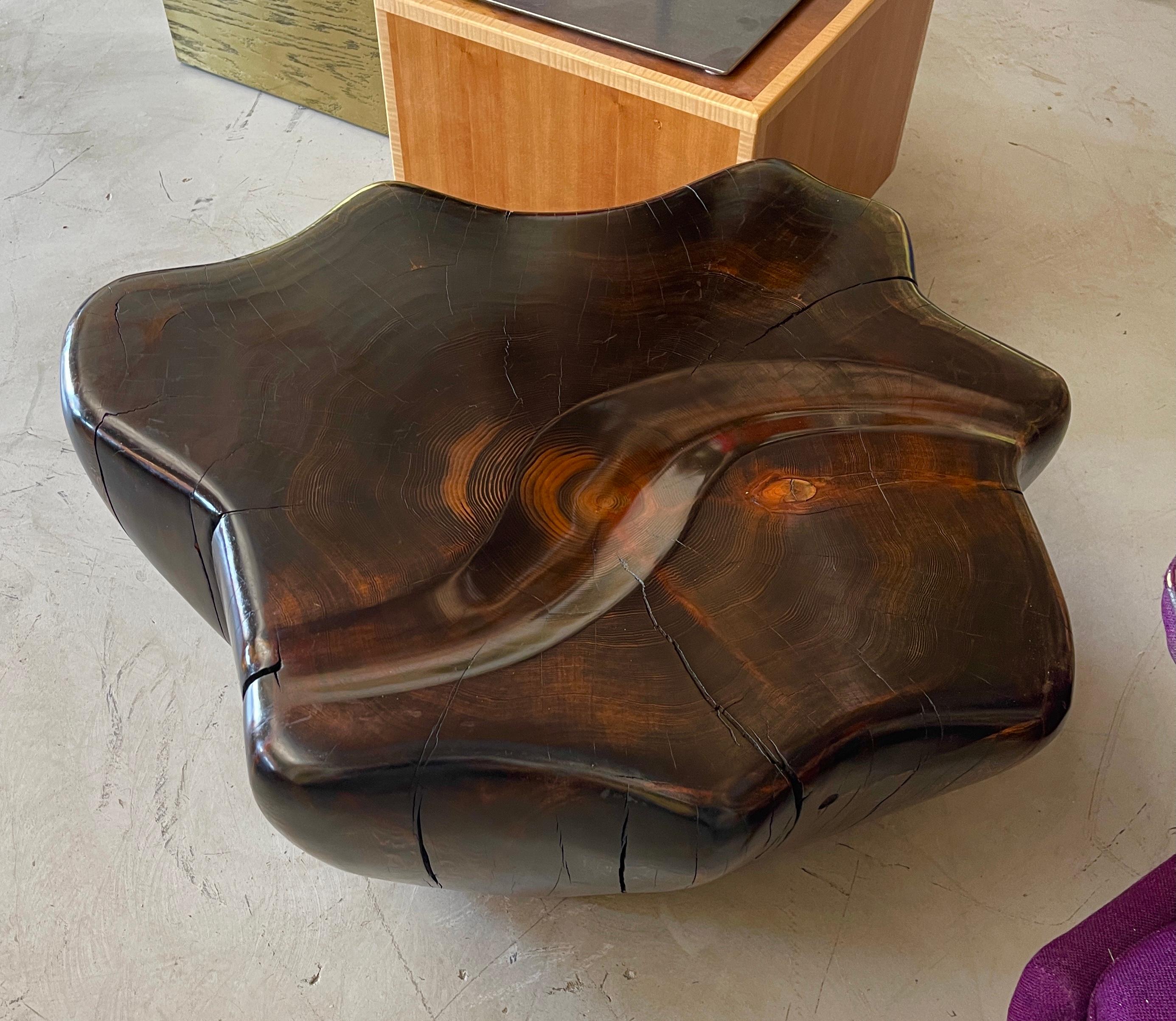 Daniel Pollock Organic Sculptural Table 9