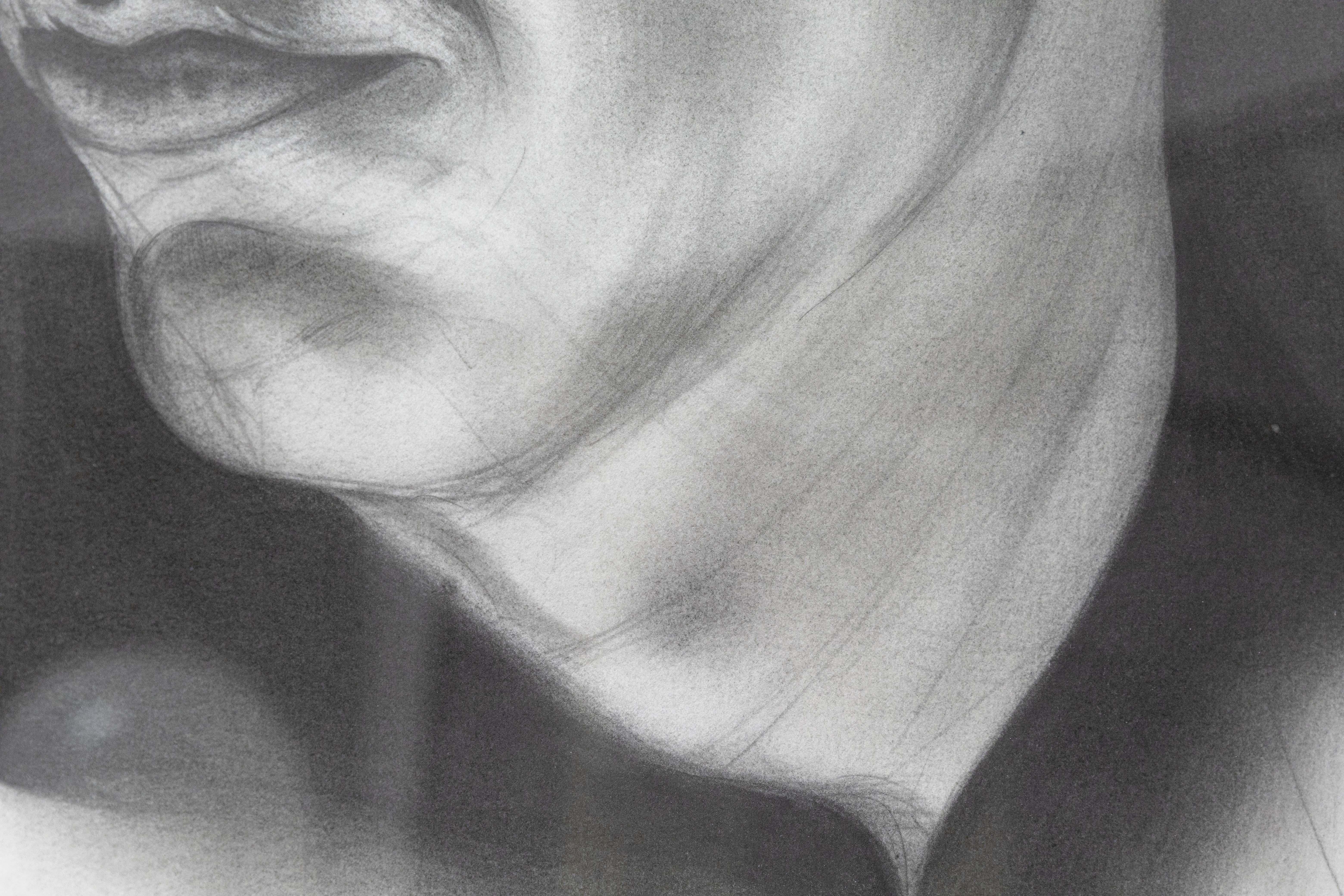 Daniel Samaniego, männliches Porträt II, Graphit- und Kohlezeichnung auf Papier, gerahmt im Angebot 1