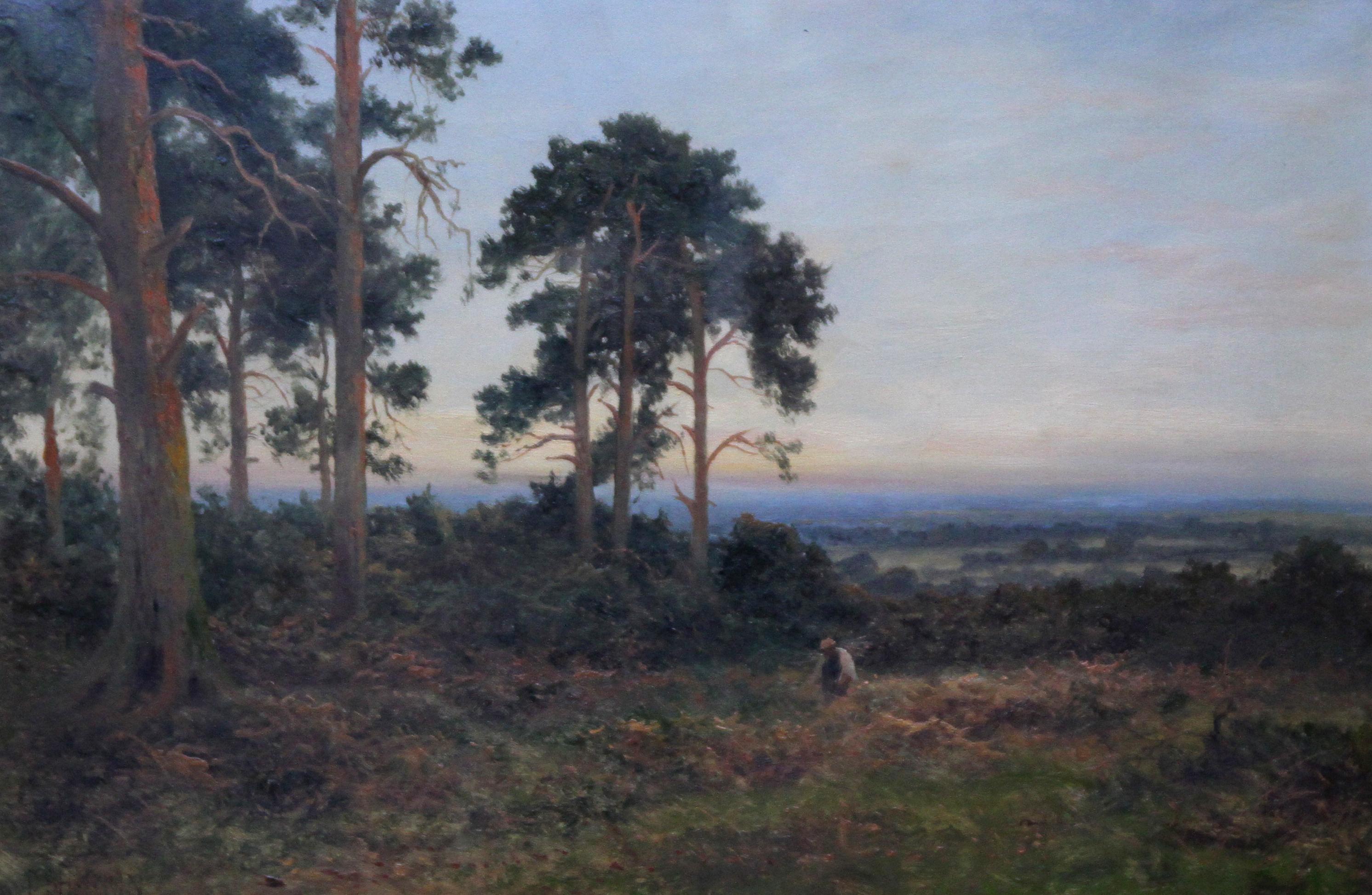 Close of Day - British 1900 Victorian art pine trees landscape oil painting  - Painting by Daniel Sherrin