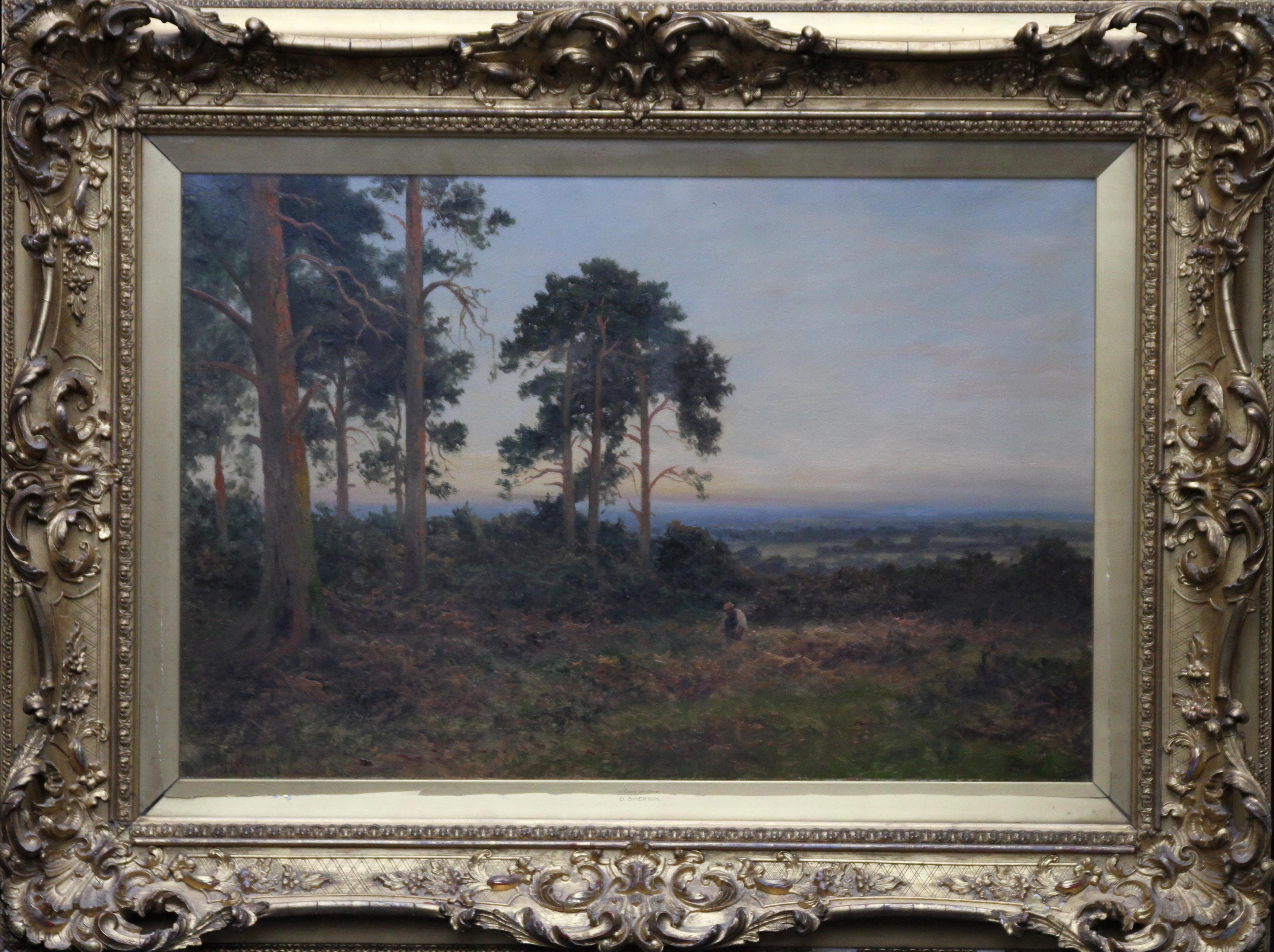 Daniel Sherrin Landscape Painting - Close of Day - British 1900 Victorian art pine trees landscape oil painting 