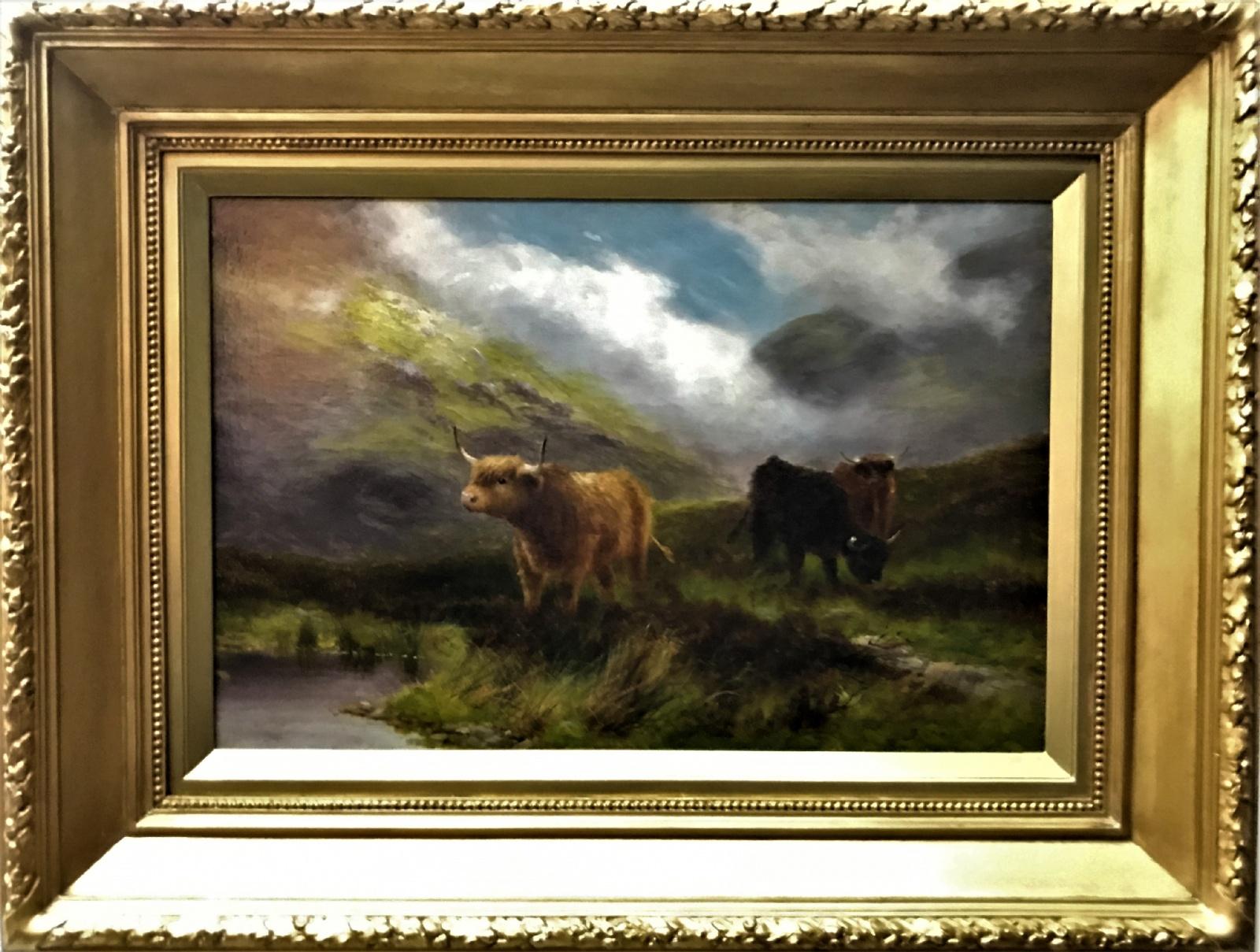 Daniel Sherrin - Bestiame delle Highlands in vendita 1