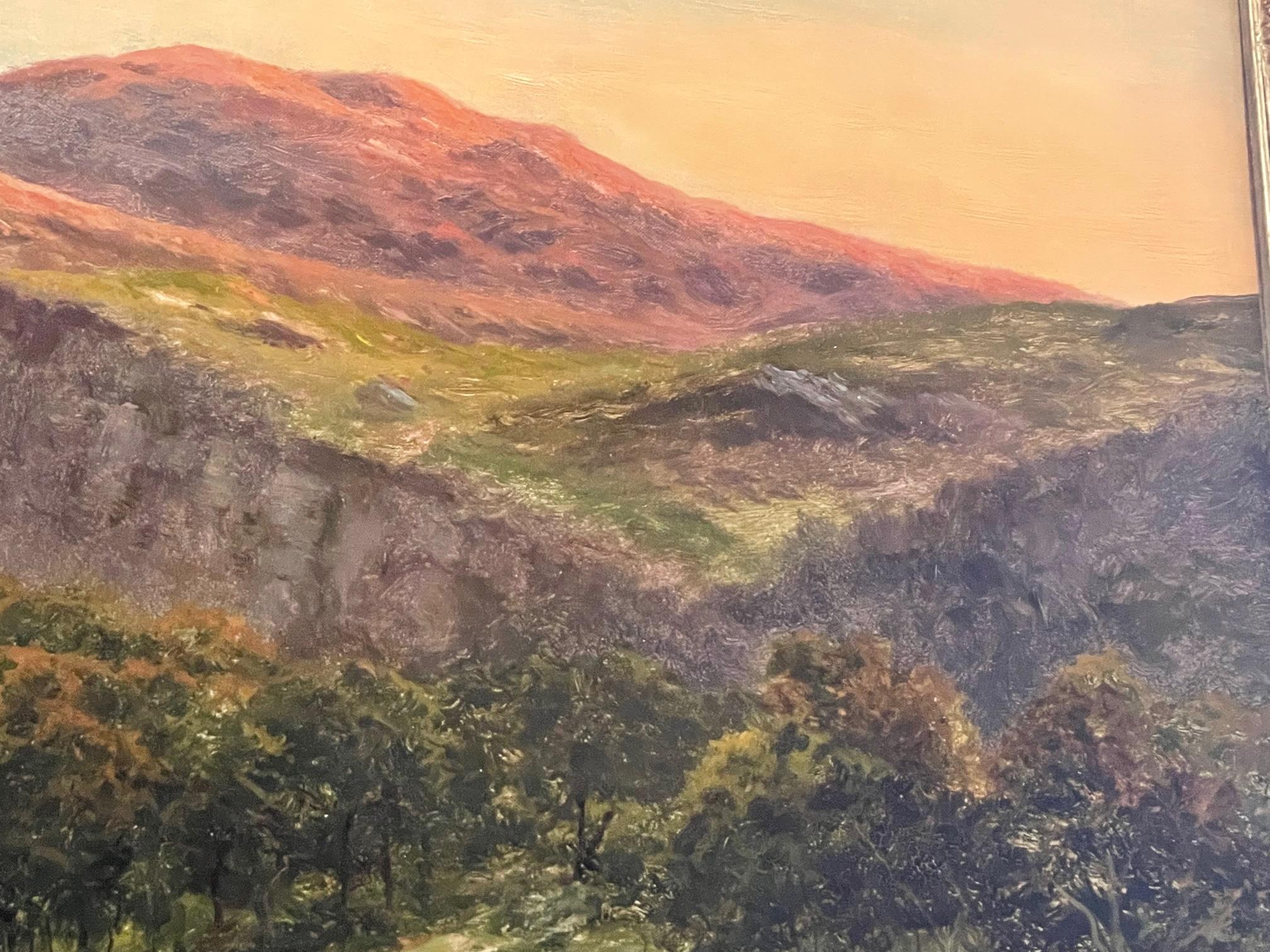 Paesaggio al tramonto 6