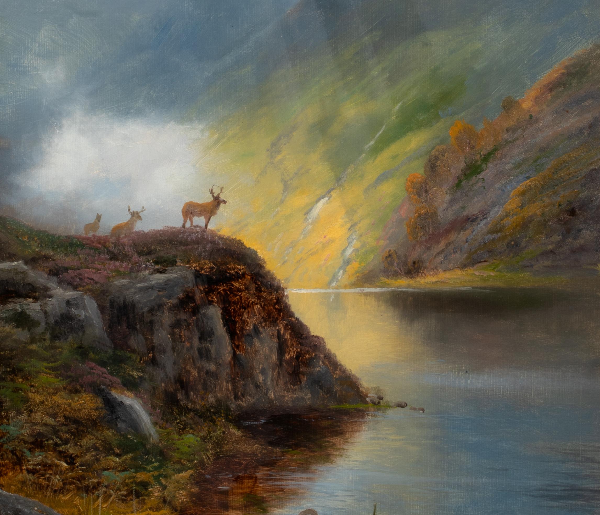  Stag Among The Heather, 19th century   DANIEL SHERRIN (1868-1940)   For Sale 7