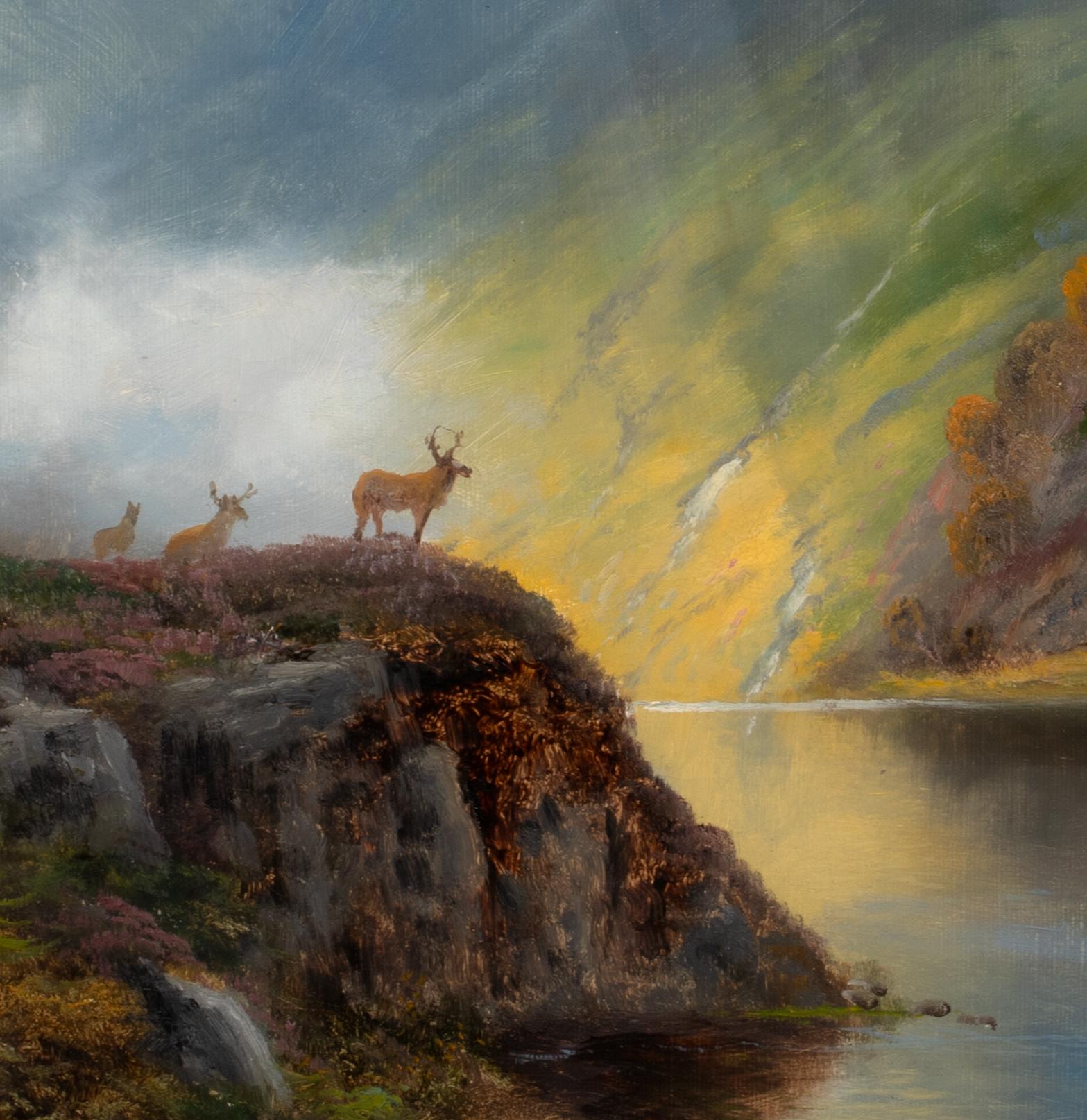  Stag Among The Heather, 19th century   DANIEL SHERRIN (1868-1940)   For Sale 5