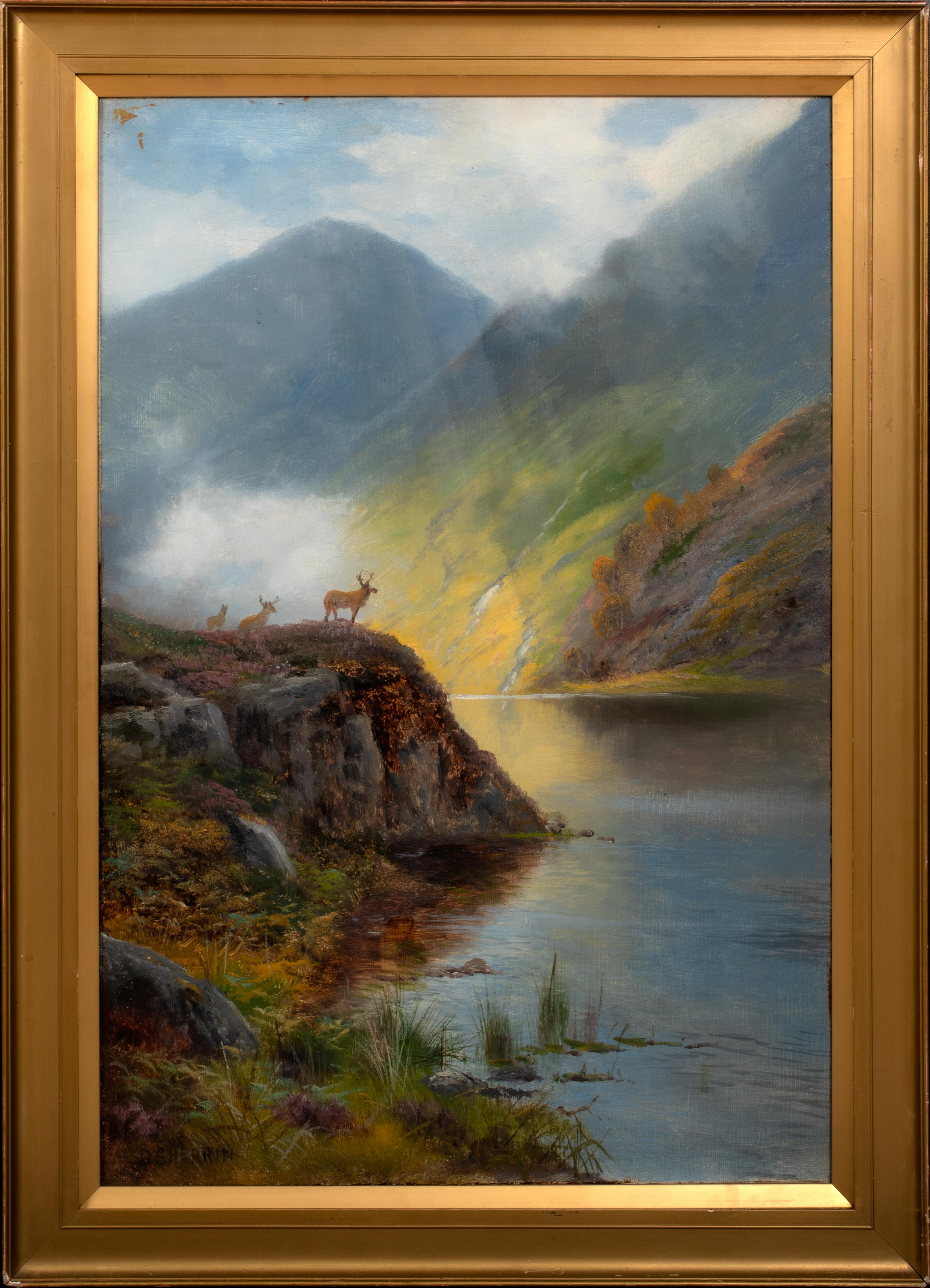 Daniel Sherrin Landscape Painting -  Stag Among The Heather, 19th century   DANIEL SHERRIN (1868-1940)  