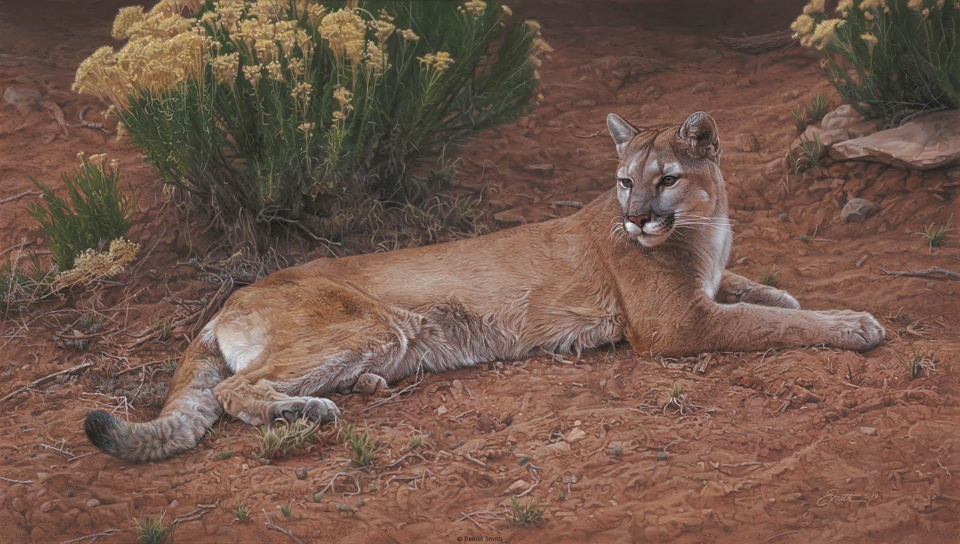Rabbit Brush Refuge - Realist Painting by Daniel SMITH