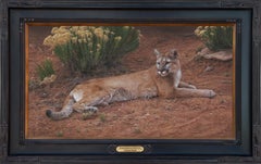 Rabbit Brush Refuge