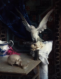 "White Bird", Oil Painting
