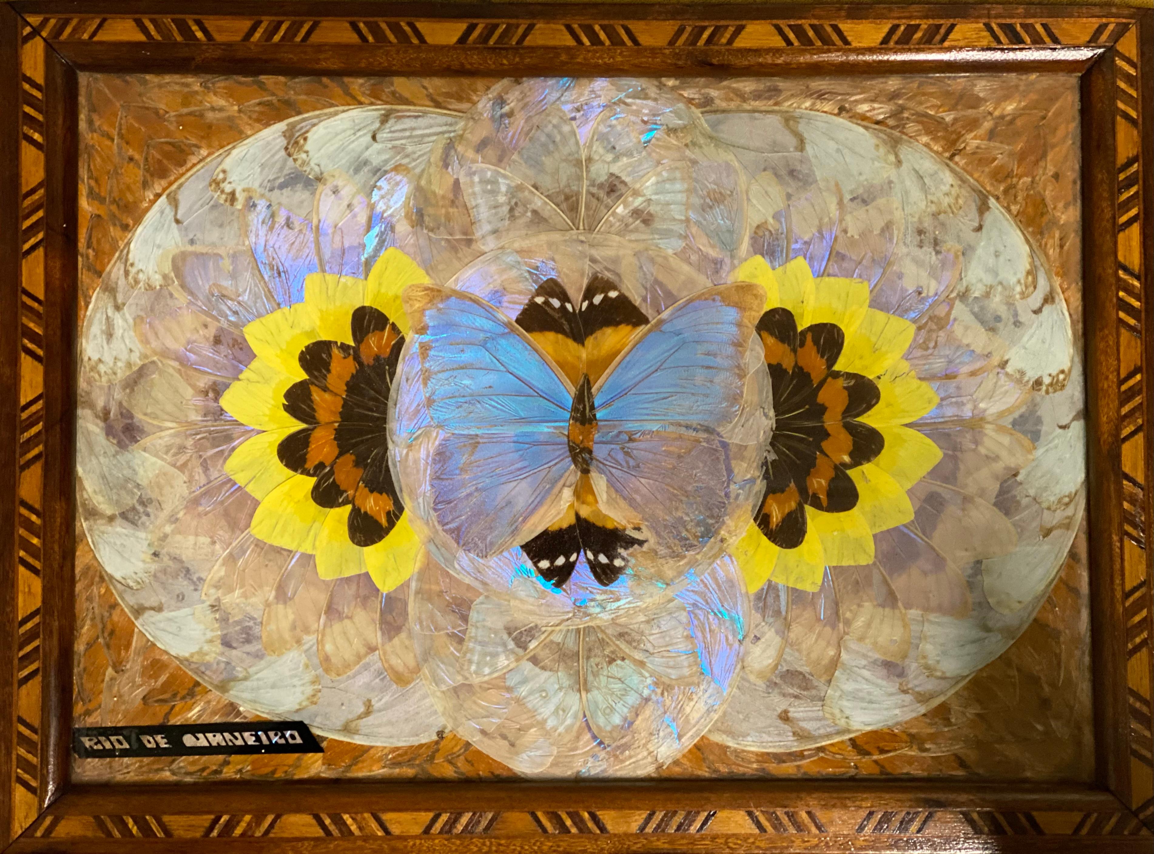 vintage butterfly tray