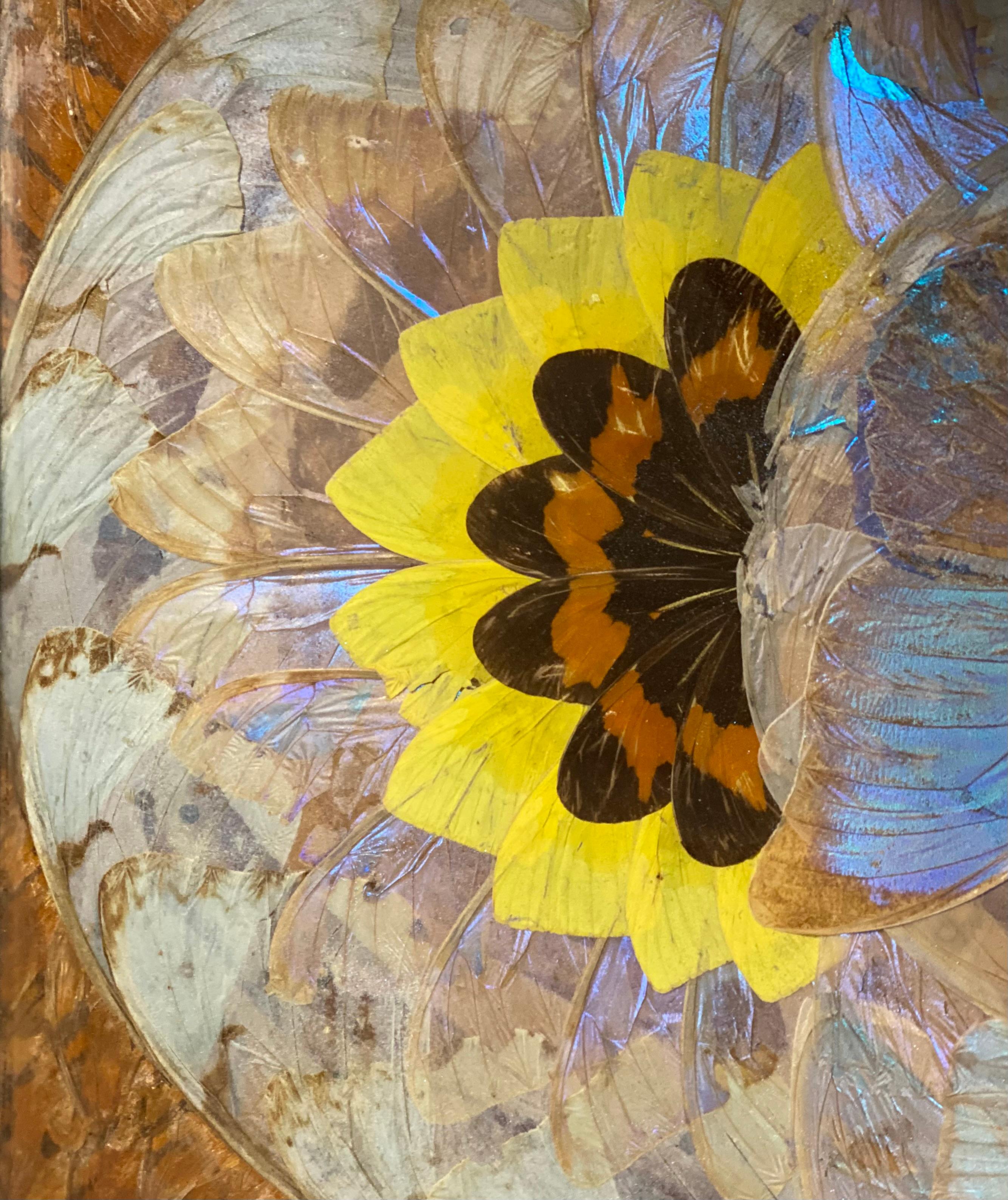 20ième siècle DANIEL TEIXEiRA - TRAITEMENT DES INLAIDES BRÉSILIENNES DES ANNÉES 1940 - AILES DE PAPILLON DE MORPHOS RÉELLES