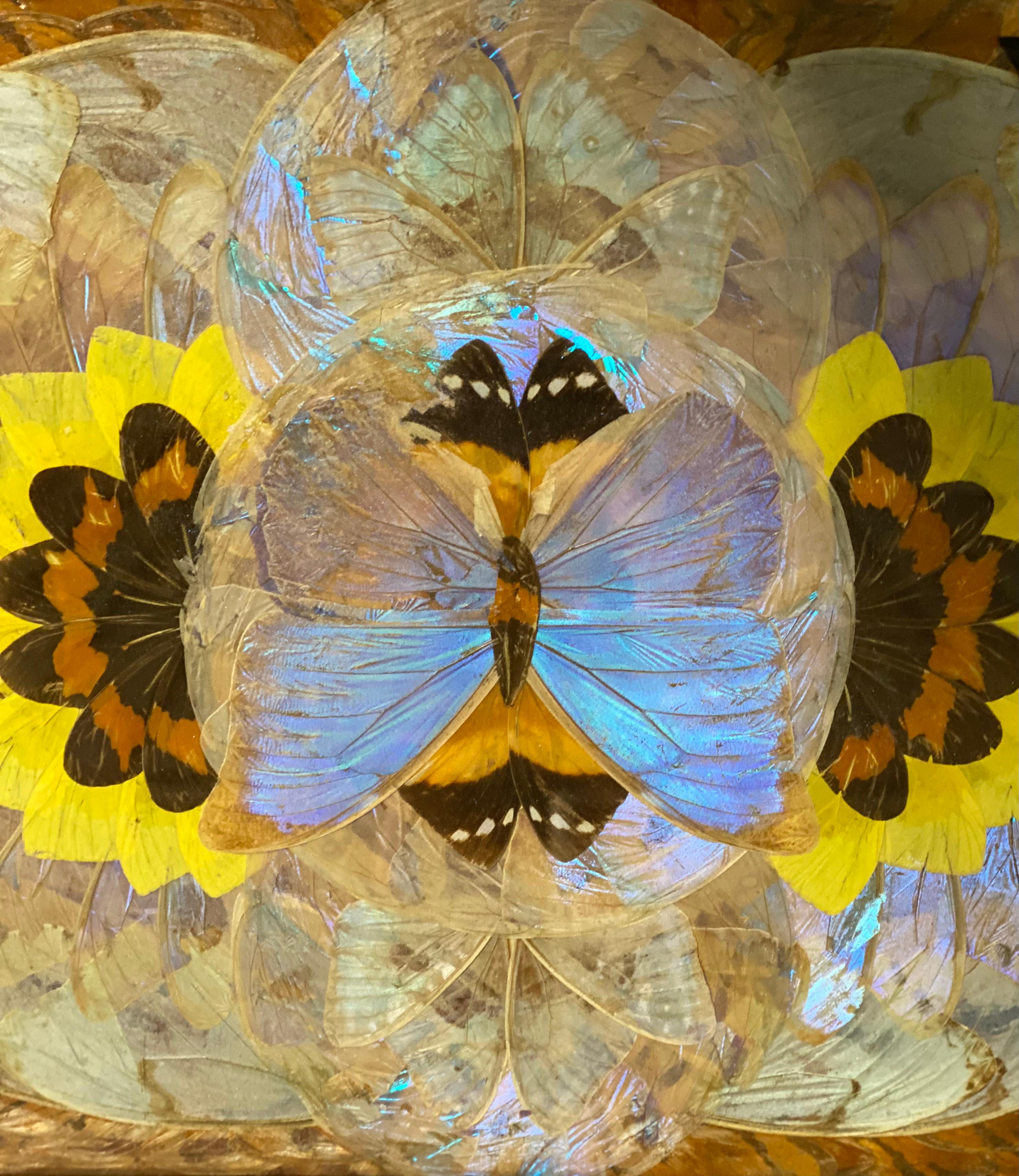 Bois de feuillus DANIEL TEIXEiRA - TRAITEMENT DES INLAIDES BRÉSILIENNES DES ANNÉES 1940 - AILES DE PAPILLON DE MORPHOS RÉELLES