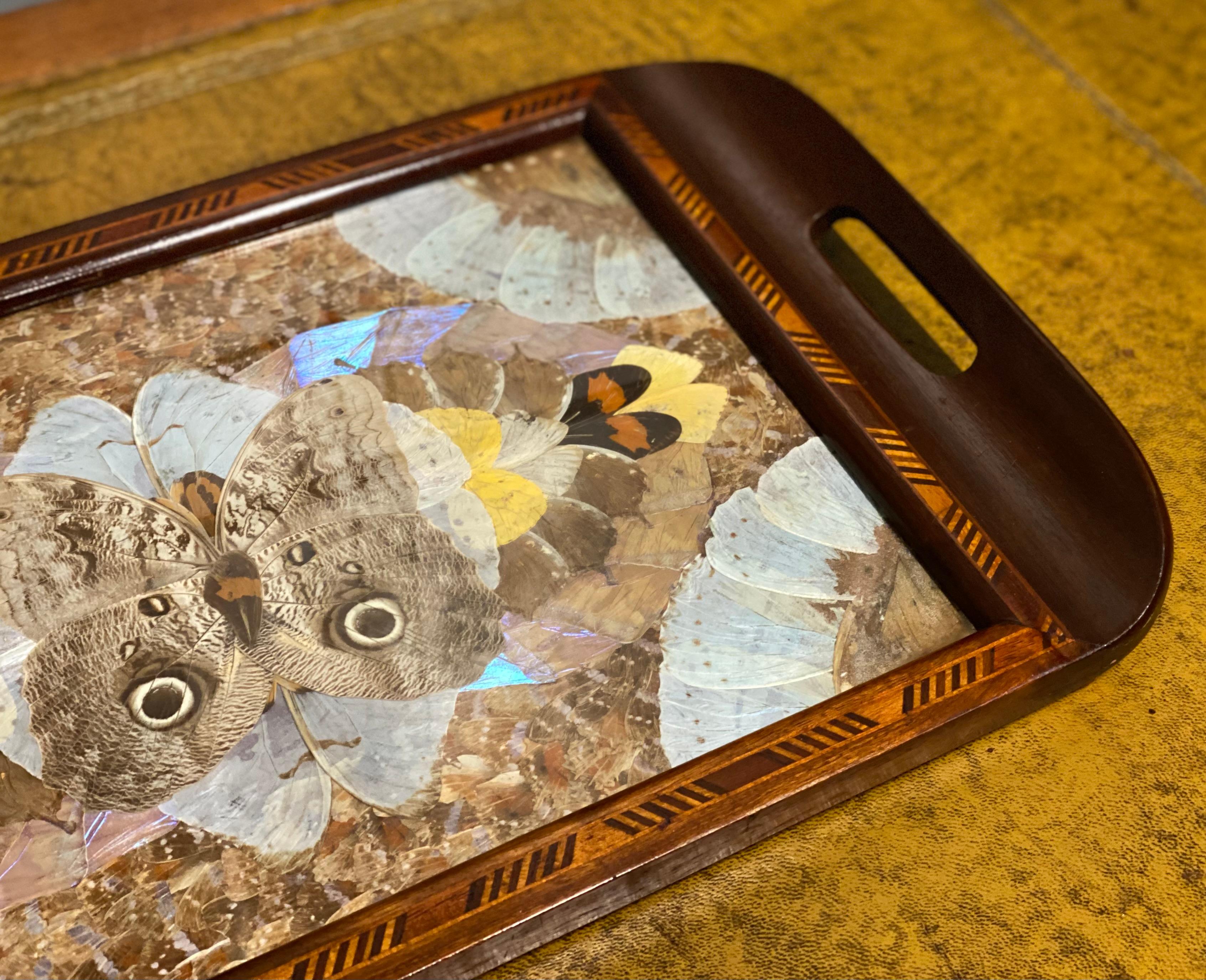 
We are excited to present this vintage Brazilian inlaid wood tray with real Morpho butterfly wings.

This vintage tray features a geometric pattern made from the wings of the brilliant iridescent Blue Morpho butterfly.
Turn the tray and watch