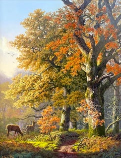Daniel Van der Putten – Reh im Reenadinna-Wald, Killarney-Nationalpark, Grafschaft Kerry