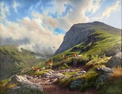 Daniel Van der Putten, Glena Mountain, Killarney, Contea di Dipinto a olio di Kerry Ireland