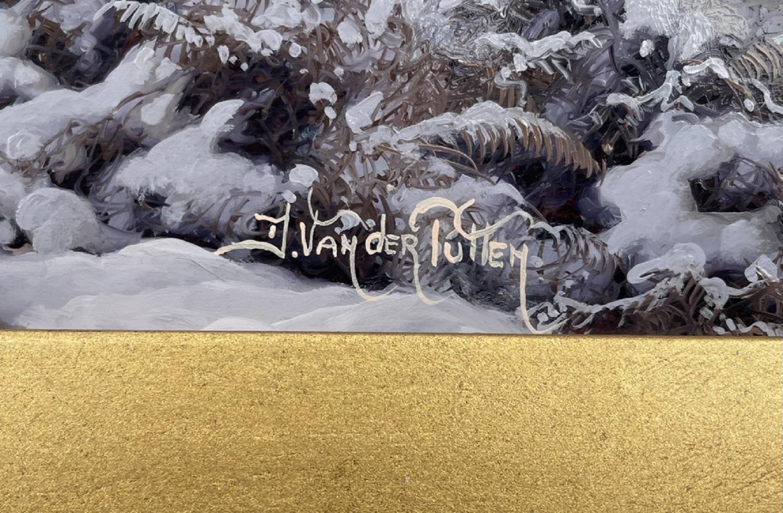 Moderne Daniel Van Der Putten Coucher de soleil Parc national de Killarney Co. Kerry Irlande en vente